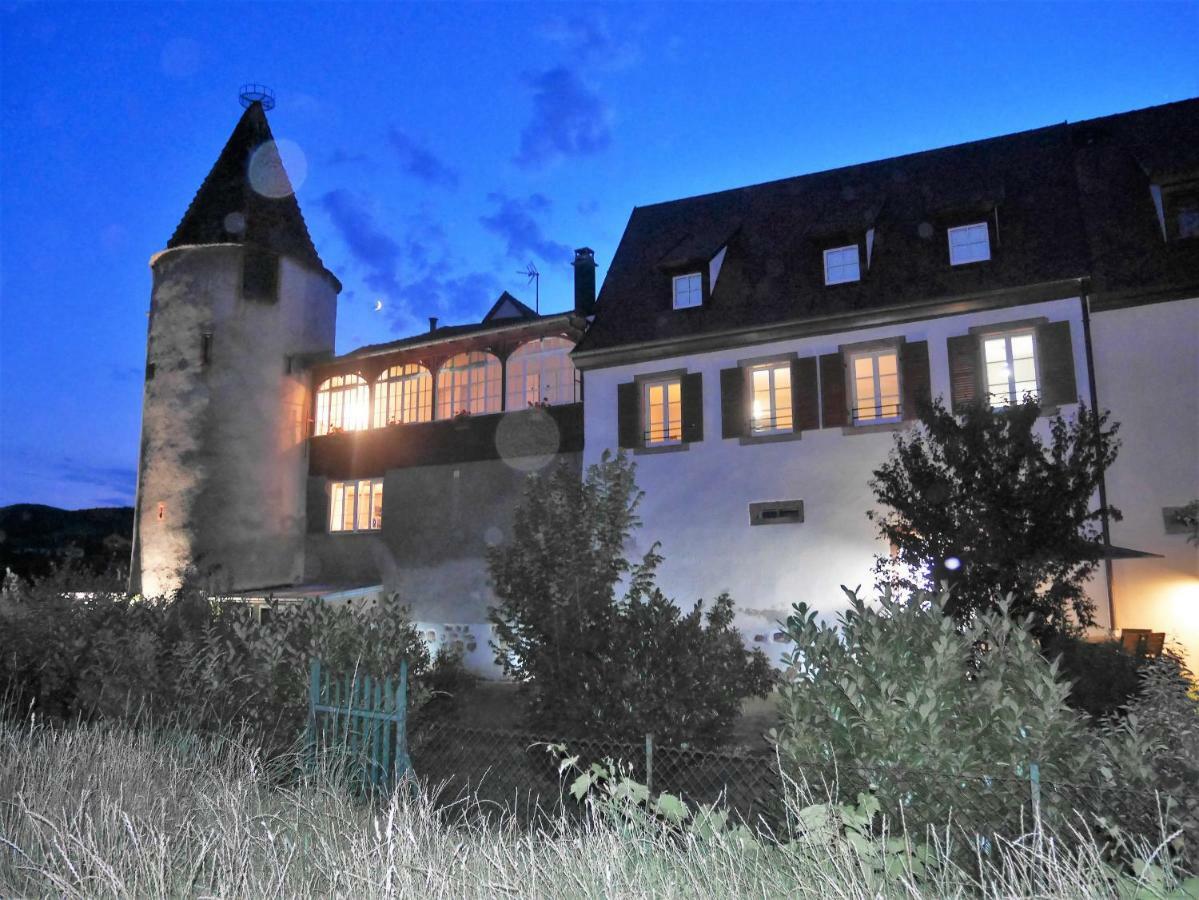 Les Gites De La Tour, Appartement "La Plaine" Сент-Іпполіт Екстер'єр фото